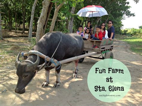 Michi Photostory 7 Things That You Can Do In Fun Farm At Sta Elena