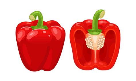 Red bell pepper and cut in half. Fresh vegetables. Vector illustration ...