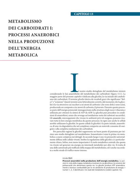 Pdf Metabolismo Dei Carboidrati I Processi Anaerobici Mente