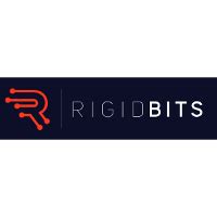 Rigid Bits Company Profile 2024 Valuation Investors Acquisition