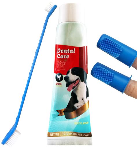 Best Dog Dental Cleaning Products at Lisa Hawke blog