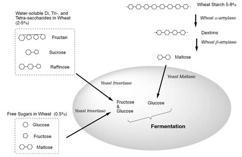 1 12 Bread Chemistry Libretexts