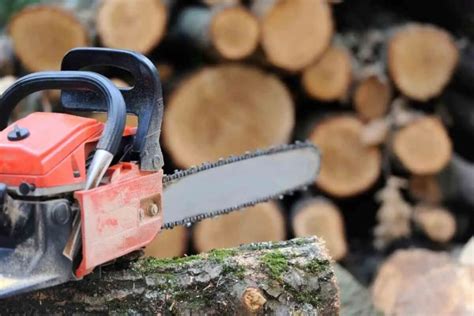 How To Store A Chainsaw So It Doesnt Leak Oil Storables