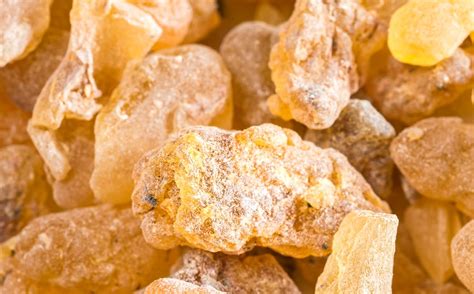 Boswellia Serrata Powerful Ayurvedic Anti Inflammatory