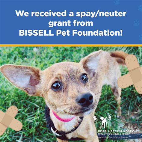 The Arizona Humane Society Receives a $10,000 Spay & Neuter Grant from