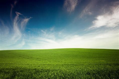 Premium Photo | Green grass and blue sky background