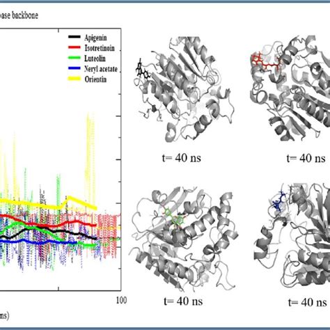 Rmsd Root Mean Square Deviation Graph Of The Lipase Protein Bound