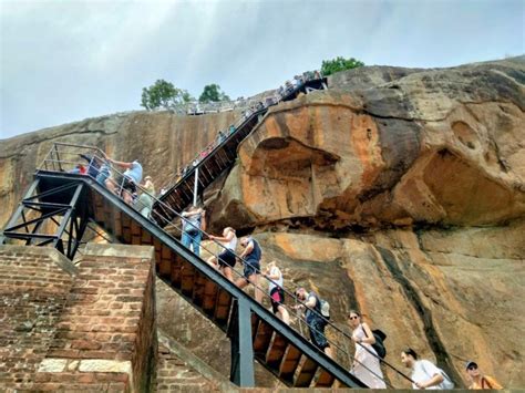 Colombo Sigiriya Dambulla Minneriya Park Safari Day Tour