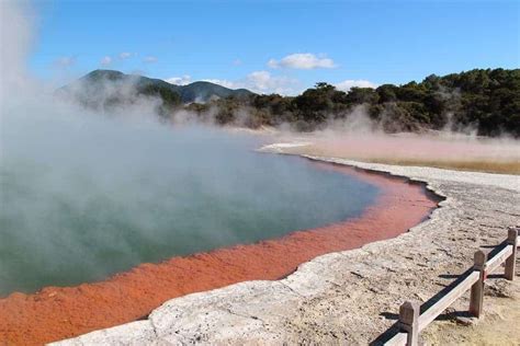 Some plants thrive in scorching hot volcanic soil -- at 72 °C (161 F)