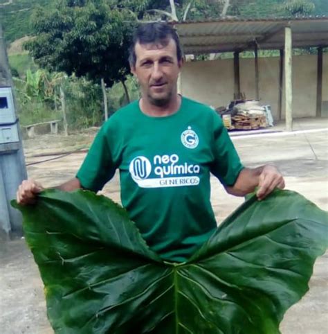 Fam Lia Pede Ajuda Para Achar Agricultor Desaparecido H Um M S Em