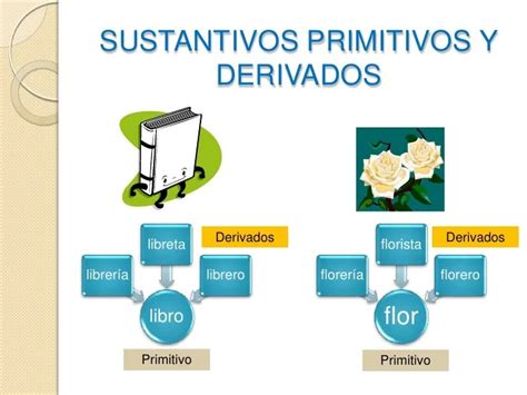 Ejemplos De Palabras Primitivas Con Sus Derivados Varios Ejemplos