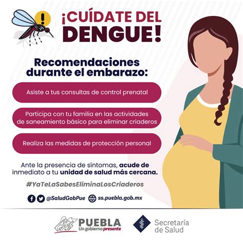 Registra Puebla Seis Personas Hospitalizadas Por Dengue Acento