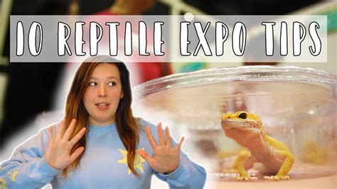 10 Tips For Attending A Reptile Expo Youtube