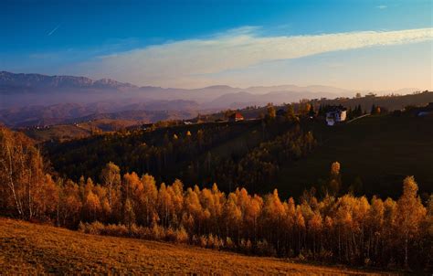 Wallpaper Field Autumn Forest The Sky Clouds Light Trees