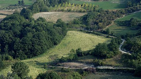 Un Nuovo Modello Per Alba Bra Langhe E Roero Candidata A Capitale