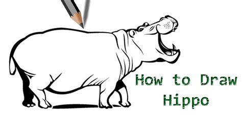 Easy Hippo Drawing Free Download On Clipartmag