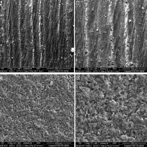 Scanning electron microscopy (SEM) images of aged bulk-fill composite ... 
