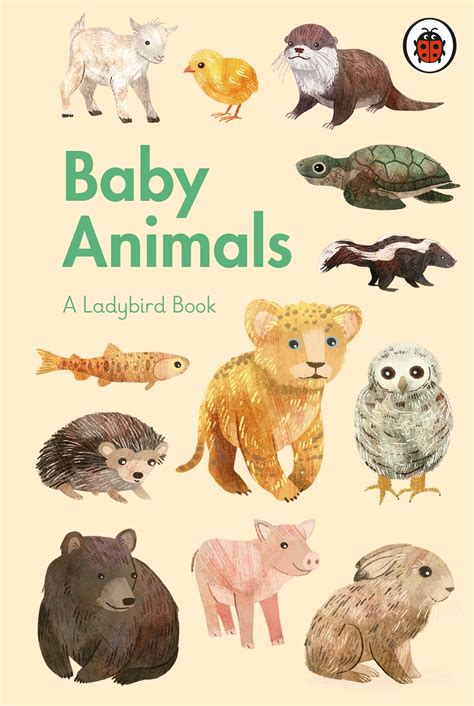 A Ladybird Book: Baby Animals - Penguin Books New Zealand