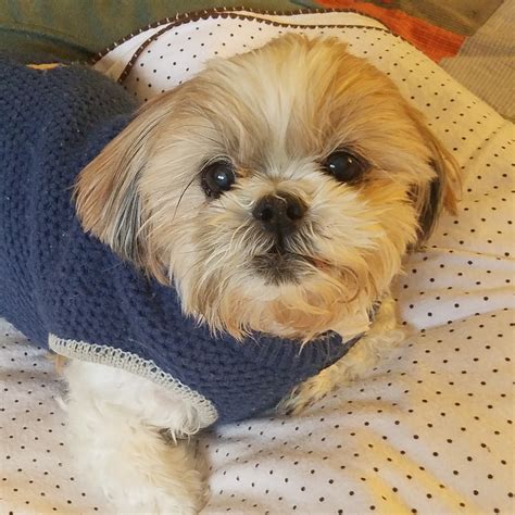 my valley tributes com notices are helping families honor memories 1