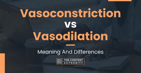 Vasoconstriction vs Vasodilation: Meaning And Differences