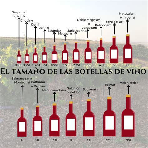 Cu Ntos Tama Os De Botellas De Vino Existen El Rumor Del Vino