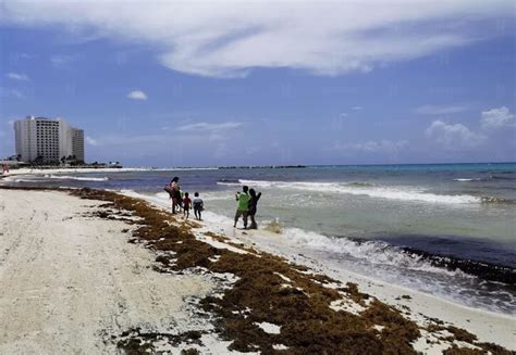 Estas son las playas más limpias de sargazo en Quintana Roo este 24 de