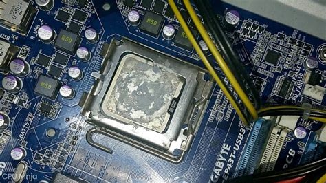 Best Thermal Paste 2024 Ultimate Buying Guide Cpu Ninja