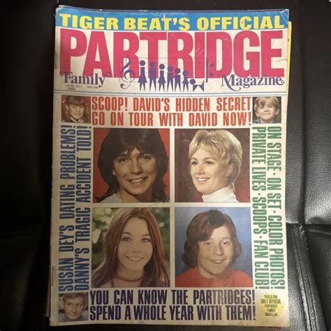 Tiger Beat Magazines Lot Of 7 1971 1973 £35199 Picclick Uk