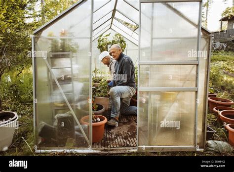 Gay Couple In Small Greenhouse Stock Photo Alamy