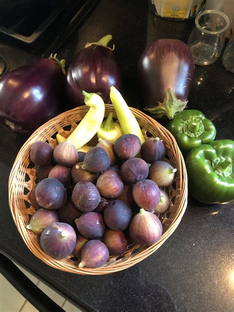How to Grow Bell Peppers in Square Foot Gardening
