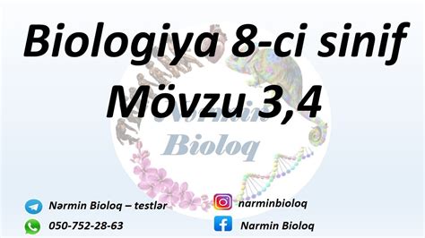 Biologiya 8 ci sinif mövzu 3 4 YouTube