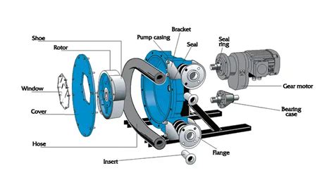 Come Utilizzare La Pompa Peristaltica Una Guida Completa