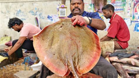 KASIMEDU SPEED SELVAM BIG SIZE RAY FISH CUTTING VIDEO 4K VIDEO