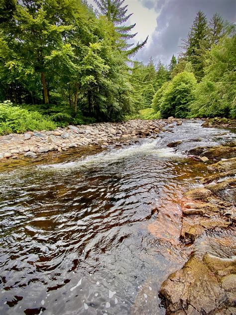 Fishing Report Th June St July Esk Rivers Hub Fishing On