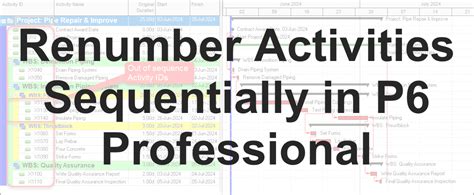 Renumber Activities Sequentially in P6 Professional - Ten Six