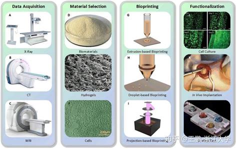 生物3d打印进展综述：从打印方法到生物医学应用 知乎