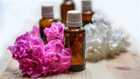 Best Aromatherapy Essential Oils 2024 | Top 10 - Cluburb