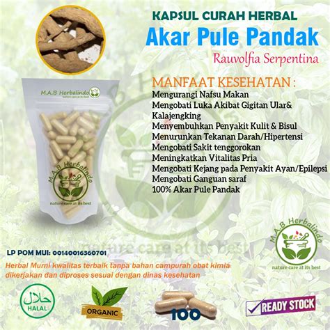 Jual Akar Pule Pandak 100 Kapsul Vertigo Gangguan Syaraf Hipertensi