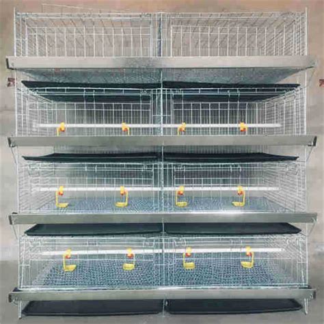 H Type Chicken Brooder Layer Cage Broiler Layers Poultry Cages Day