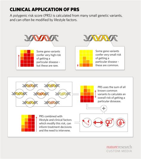 Polygenic Risk Whats The Score