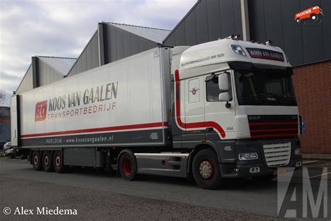 Foto Daf Xf Van Transportbedrijf Koos Van Gaalen B V Truckfan