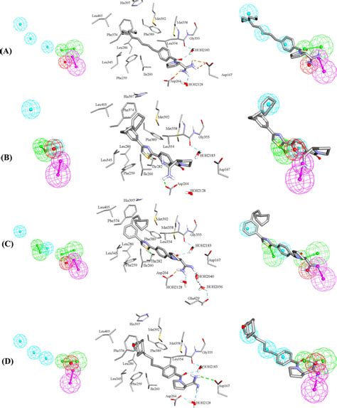 Structurebased Pharmacophore Models A Hypo Sb B Hypo Sb C