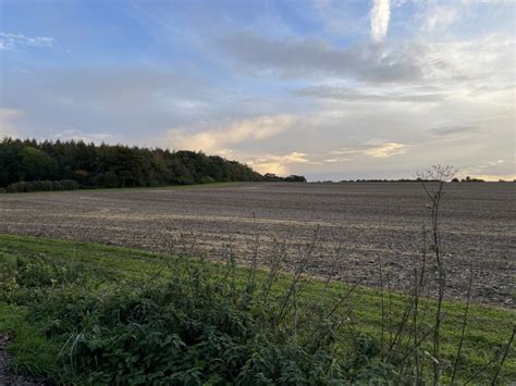 Edge Of Dean Heath Copse Mr Ignavy Cc By Sa 2 0 Geograph Britain