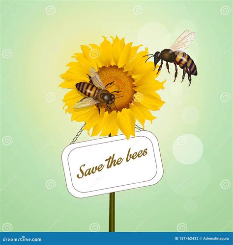 Pollination Of Bees Stock Illustration Illustration Of Honey