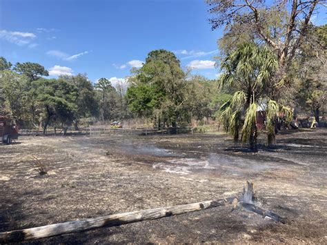 Brush Fire On Seely Lane Hernando Sun