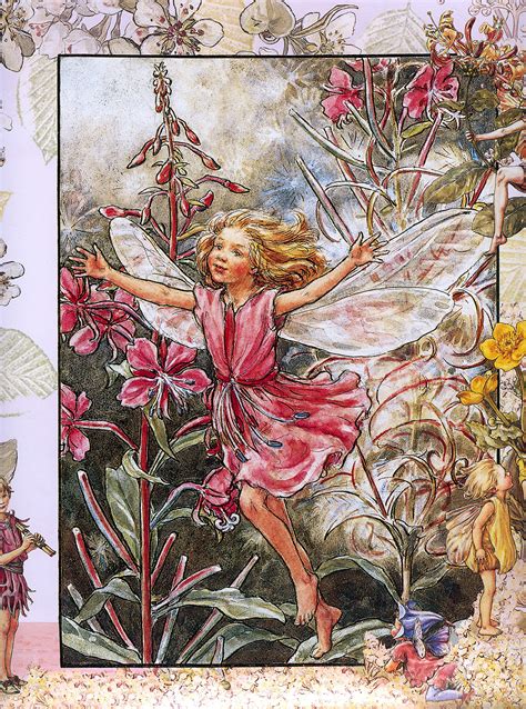 Cicely Mary Barker 1895 1973 The Rose Bay Willow Herb Fairy