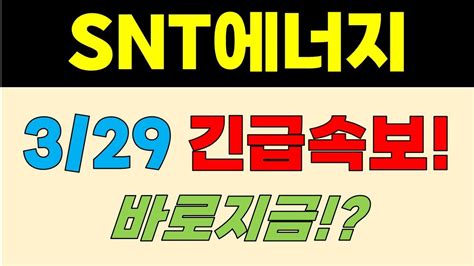 Snt에너지 주가전망 329 긴급속보 바로지금 Youtube