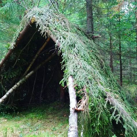 How To Create A Wilderness Dugout Survival Shelter Artofit