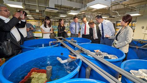 Centre For Aquaculture And Veterinary Science Cavs Temasek Polytechnic