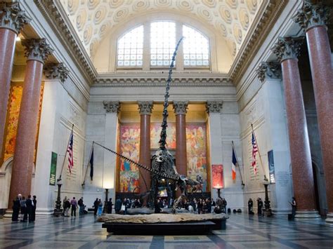 Natural History Museum in New York Tickets and Tours - Hellotickets